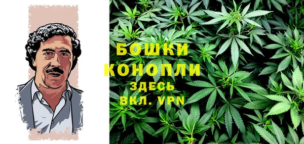 дмт Арсеньев